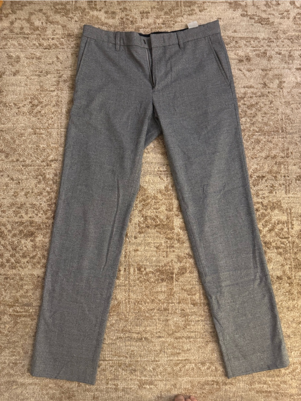 Vine Grey Griffith Pants
